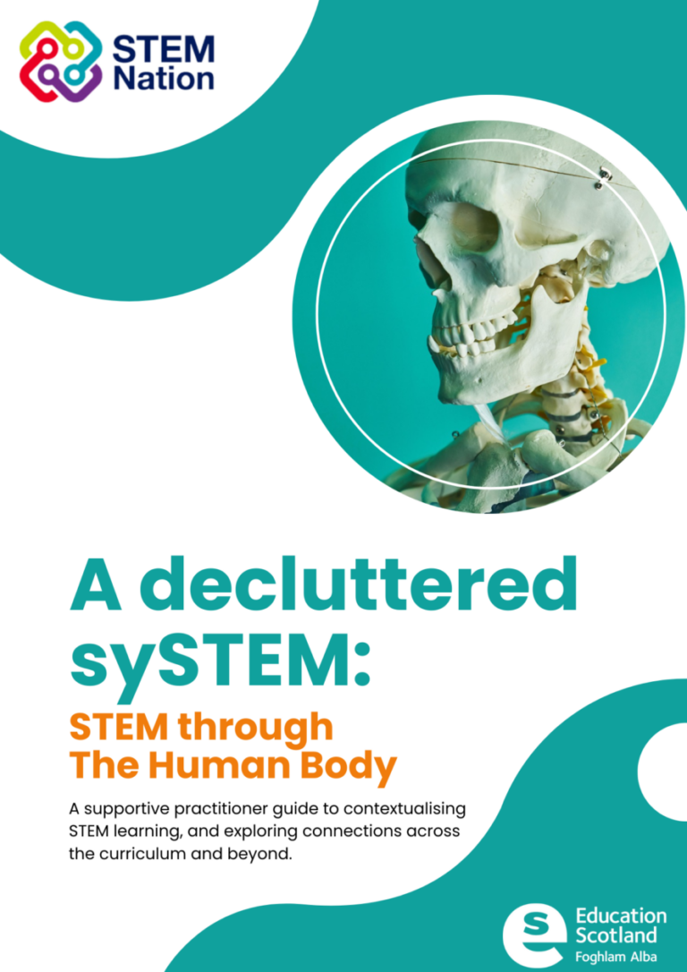 A Decluttered sySTEM – STEM Nation