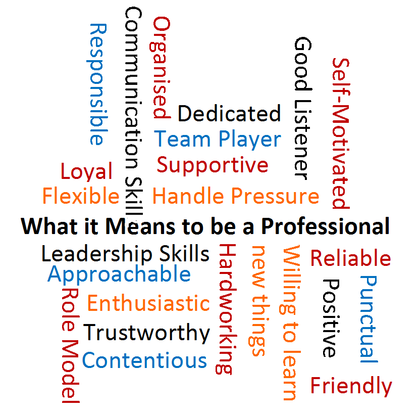 What Does It Mean to Be a Professional? | Sam Mooney's ePortfolio