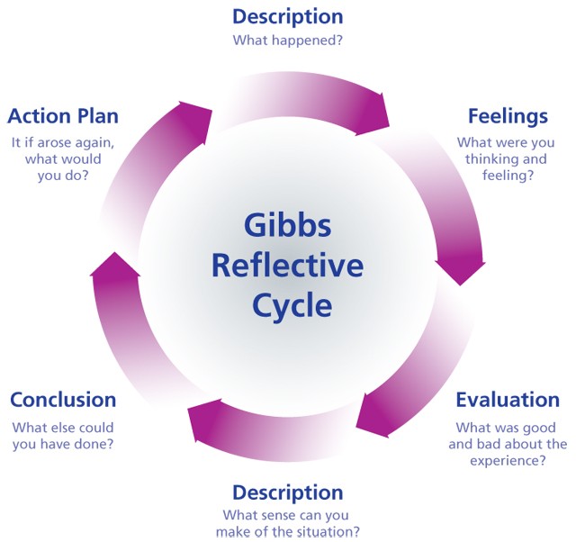 gibbs reflective cycle on vital signs