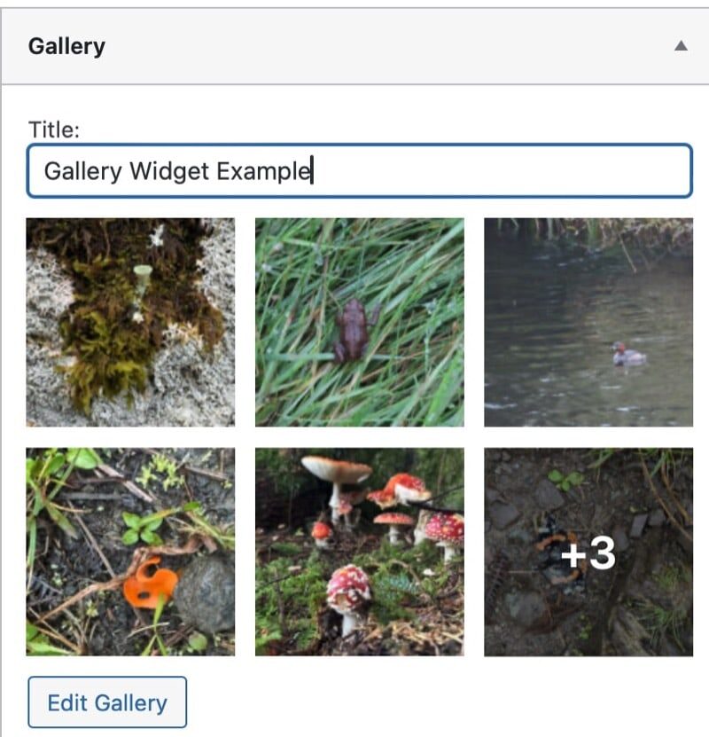 Screenshot of a Gallery Widget being edited