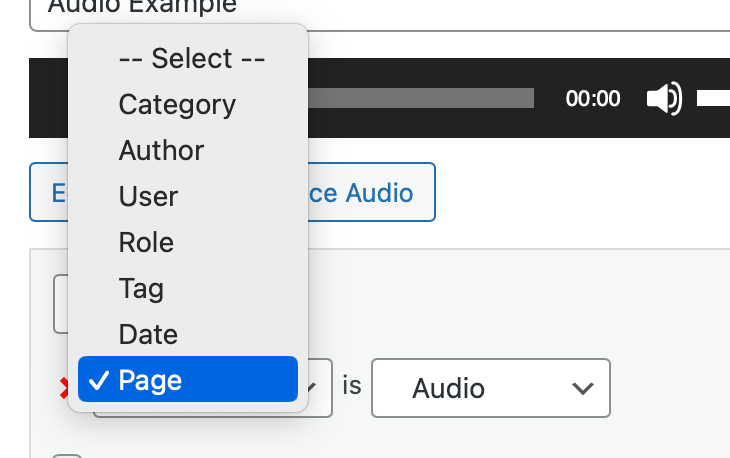 Screenshot of editing the audio Widget with Visibility section expanded. and the popup menu open