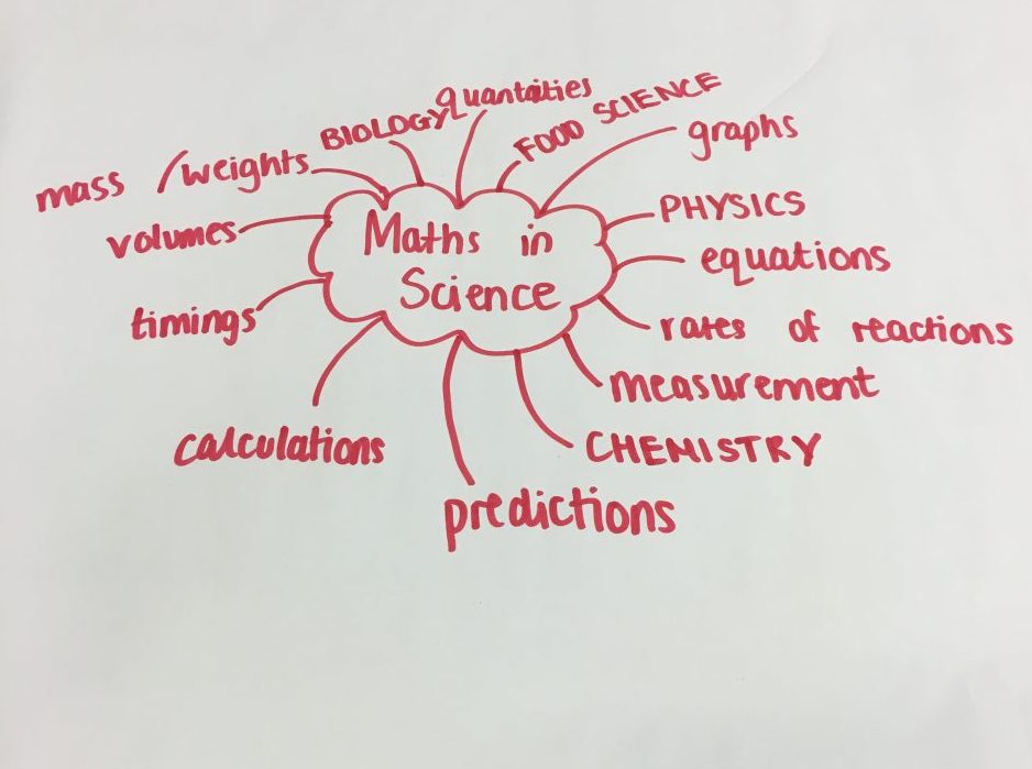 Reflection post on science and maths!