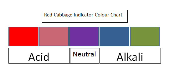 Acid Alkali Colour Chart