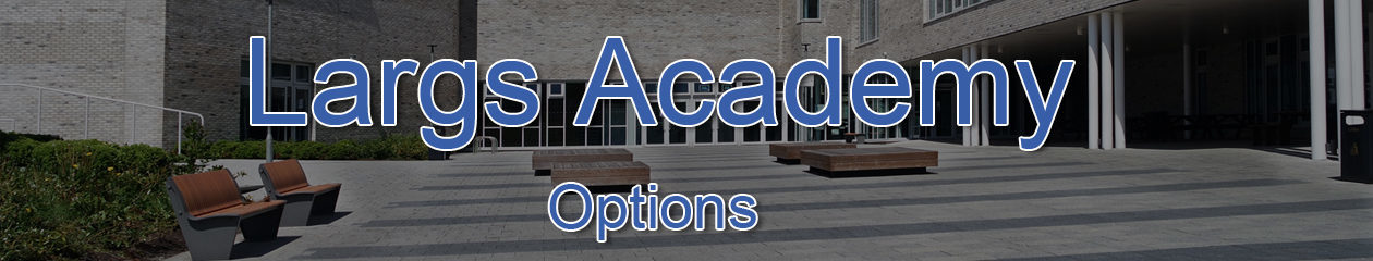 Largs Academy Options