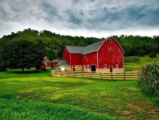 Farm