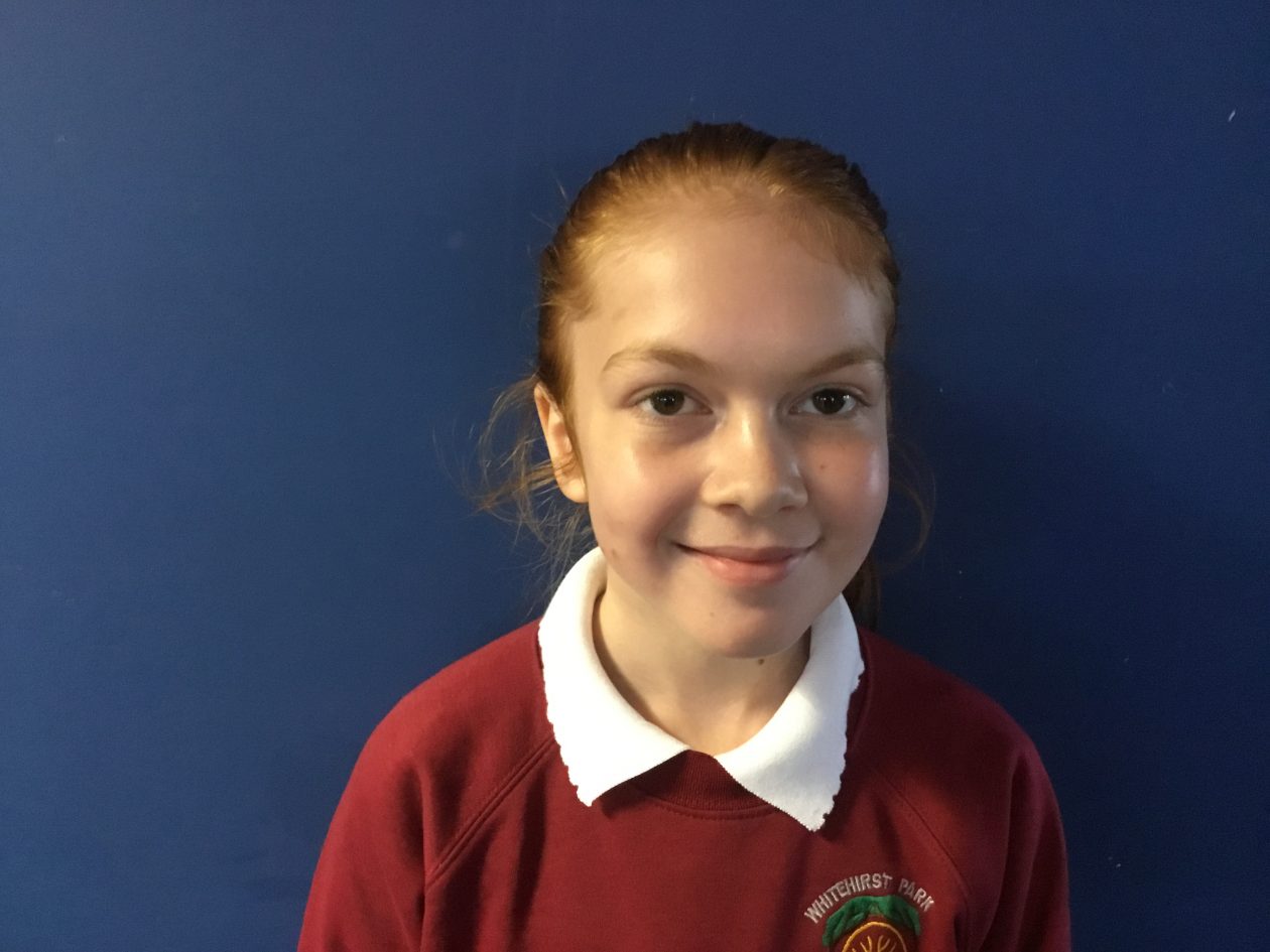 Primary 7 photographs – Profiles | Primary 7 Miss Dobson 2018/2019