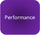 performance button