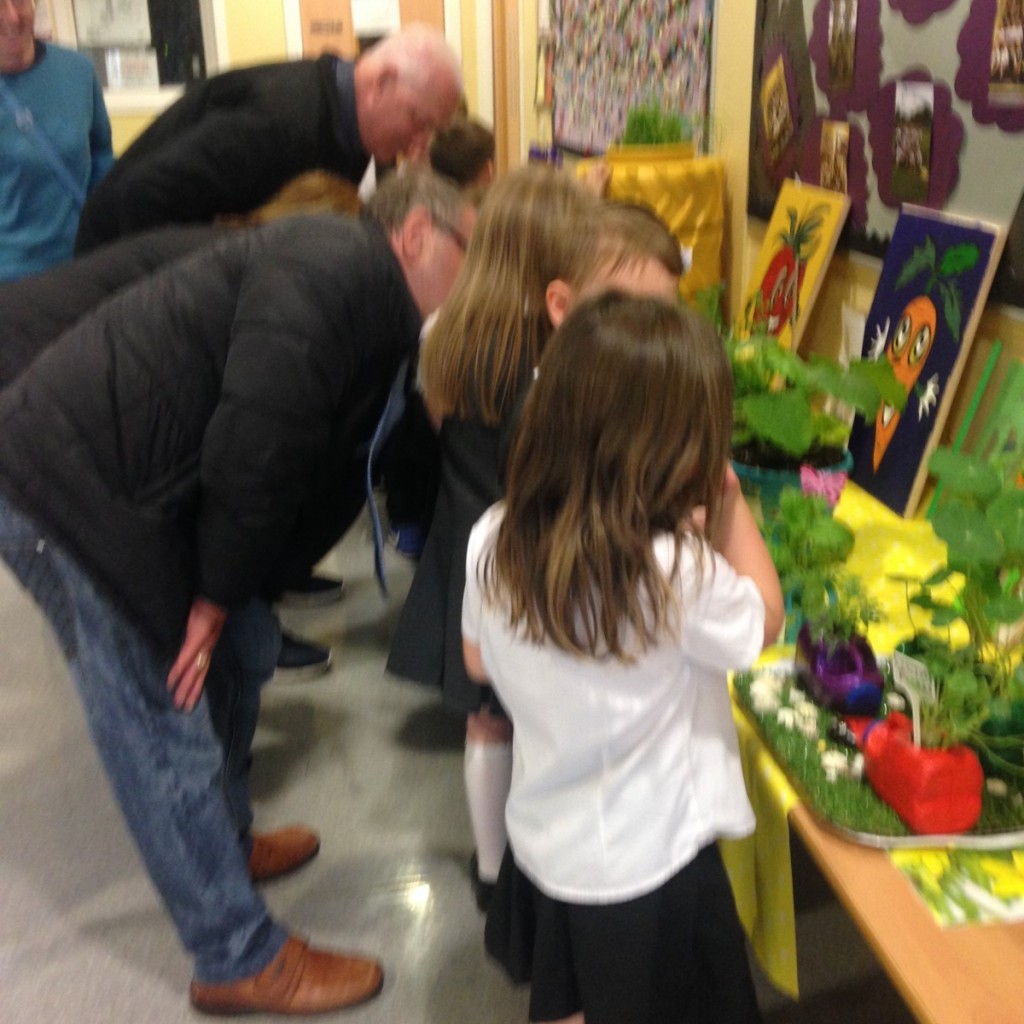 image Chapelhall Primary School Blog