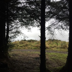 blogging \u2013 John Johnston