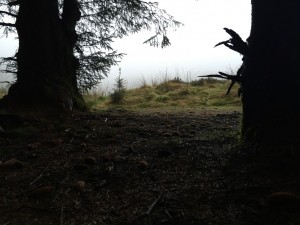 blogging \u2013 John Johnston