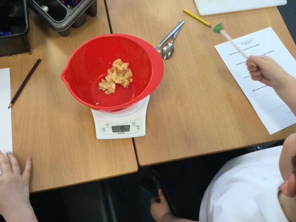 Primary 3 Science experiments!