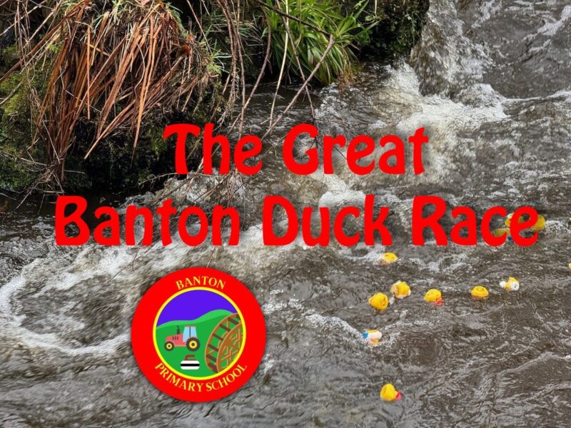 The Great Banton Duck Race