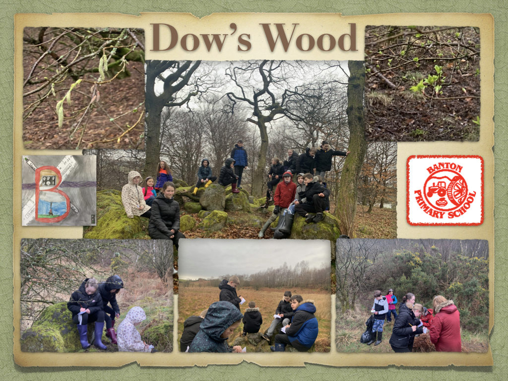 Outdoor learning Day, pt 1: Dow’s Wood