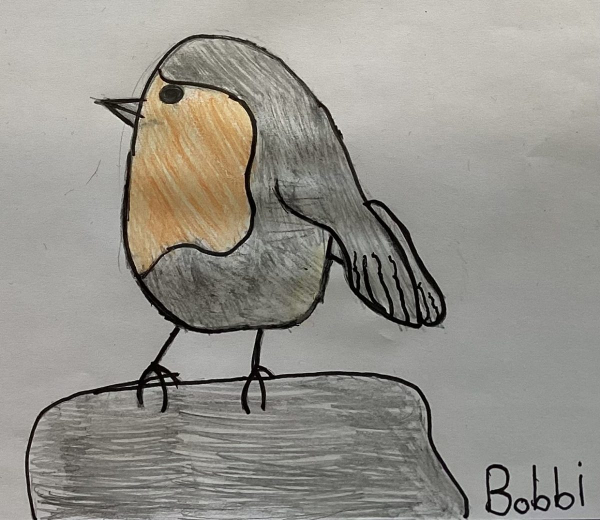Robin-Bobbi