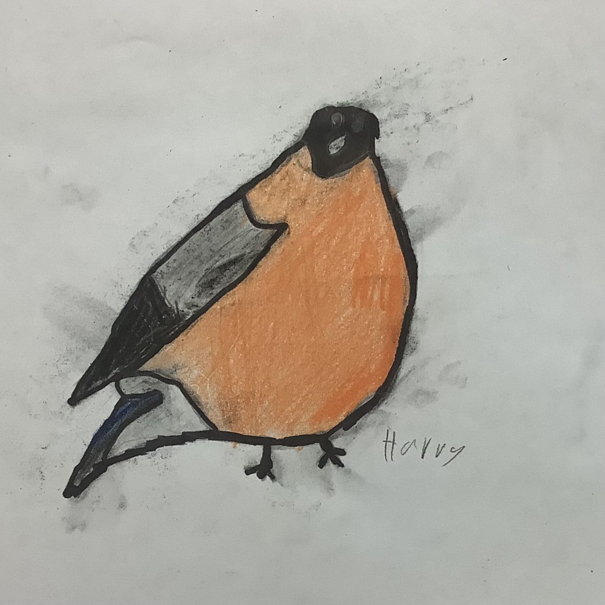 Bullfinch art