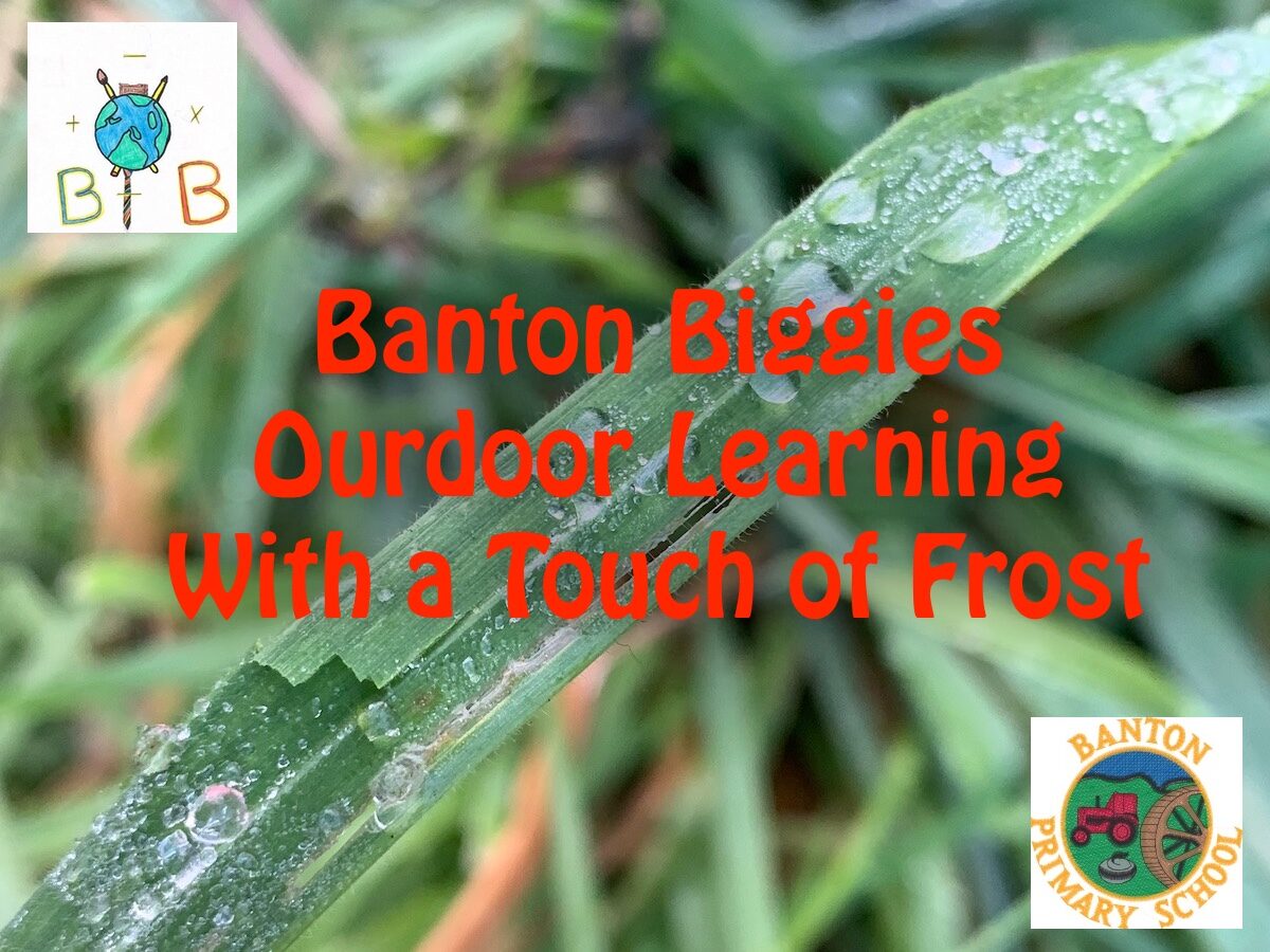 background a blade of grass with frost. Logos of Banton Primary School. Text: Banton Biggies outdoor learning with a touch of frost.