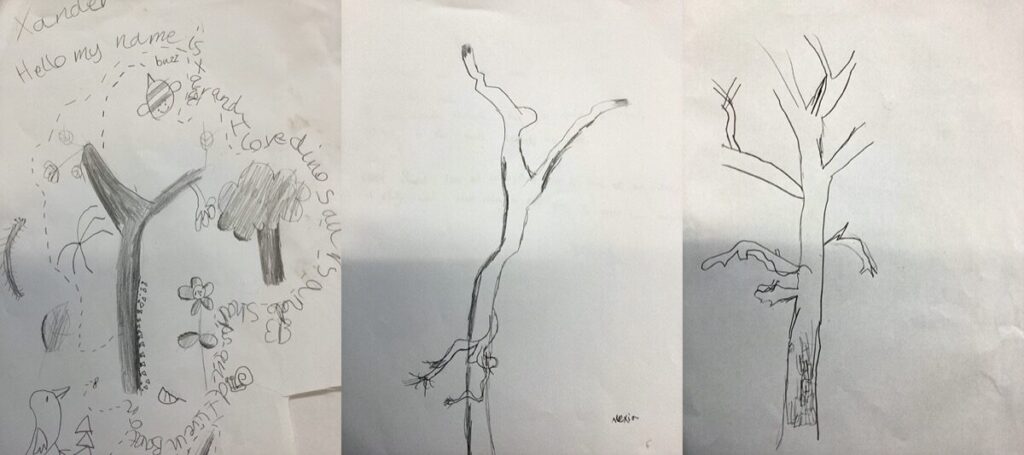 A montage of 3 line drawings of trees.
