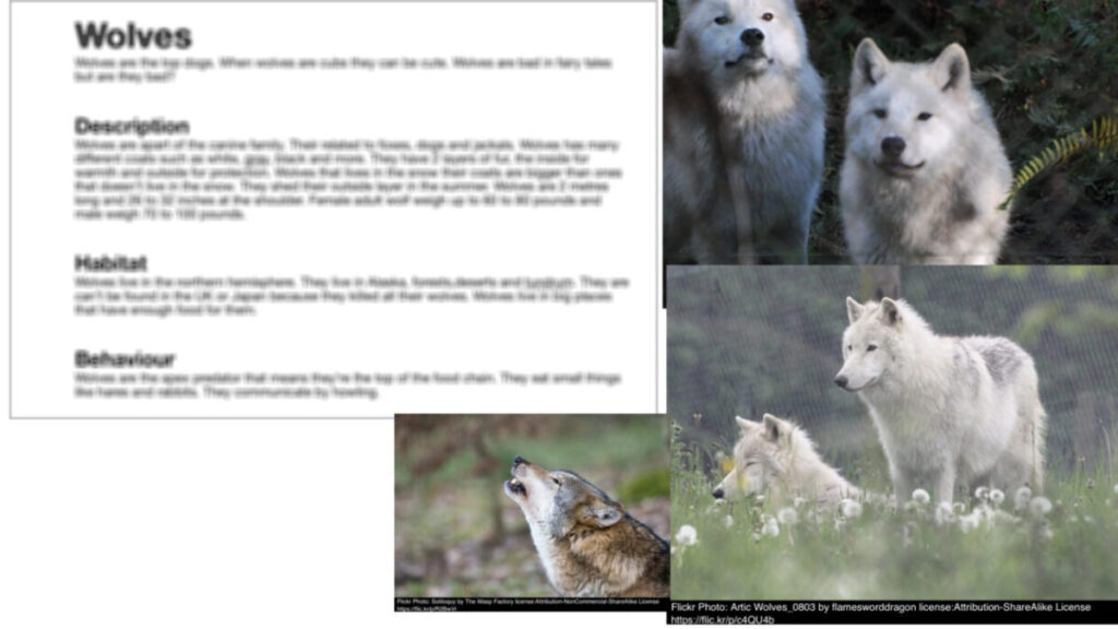 Slide used in Presentation. several pictures of wolves and a blured document.