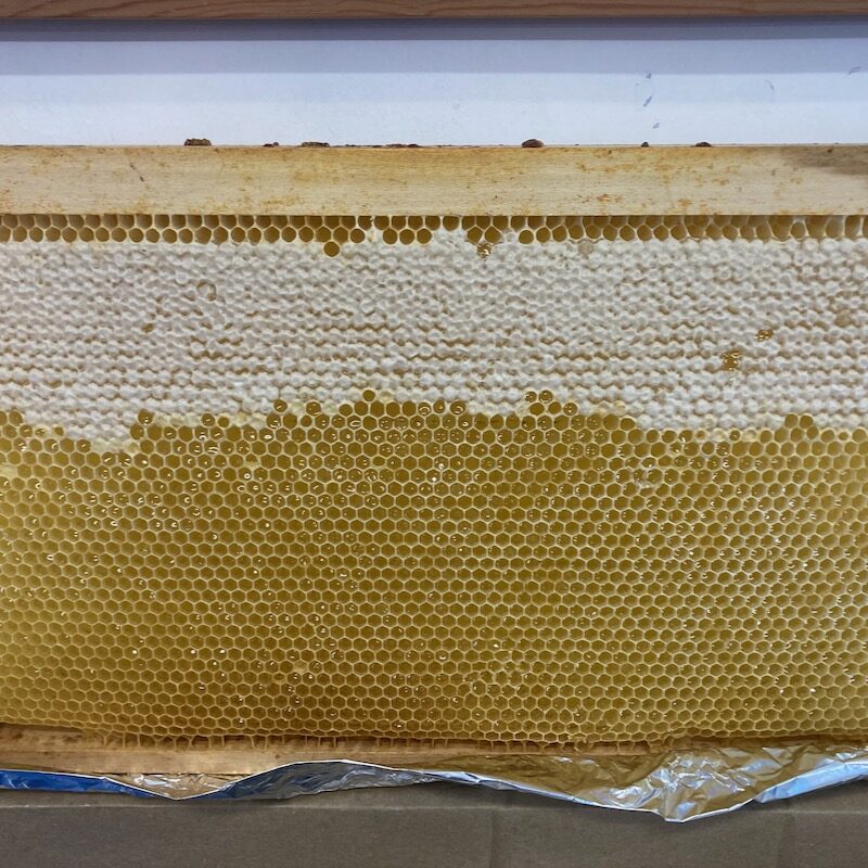 Honeycomb
