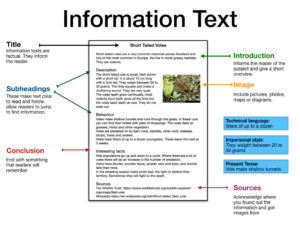 information genre