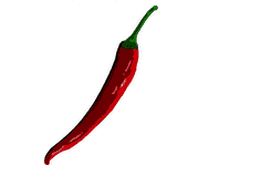 i Chilli