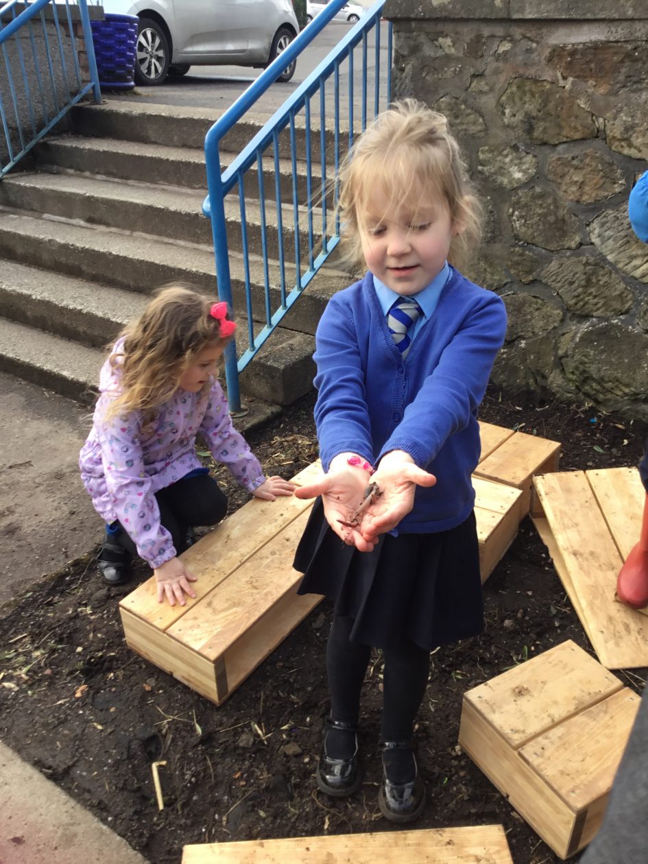 Outdoor Play | Chapelgreen Primary School & Nursery Class