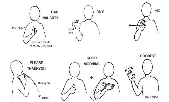 Everyone Makaton Sign