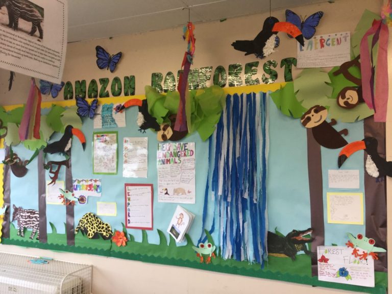 P7 Rainforest Topic | Glenmanor Blog – also on Twitter @GlenmanorPS