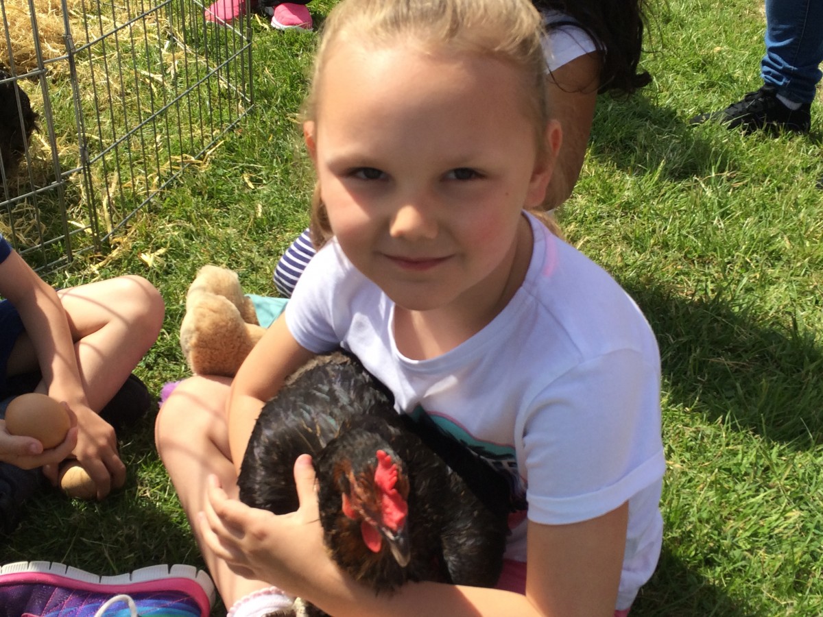 IMG_2811 Newarthill Primary