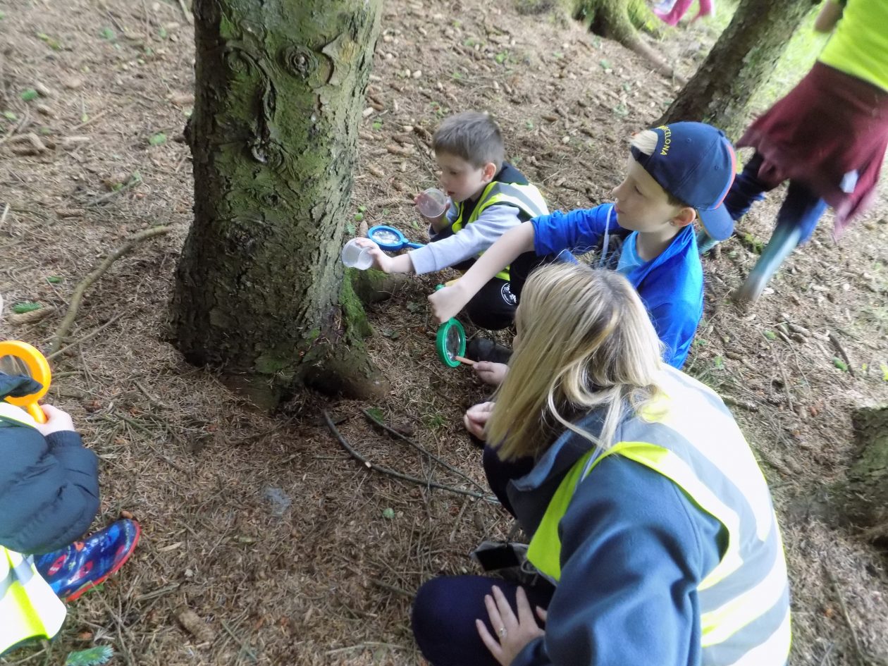 Early Level Transition with Dykehead Primary School | Shotts Family ...