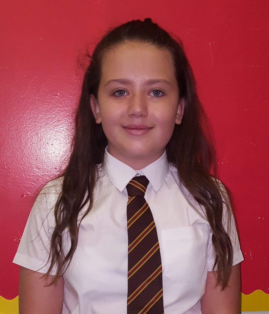 St michael school login image