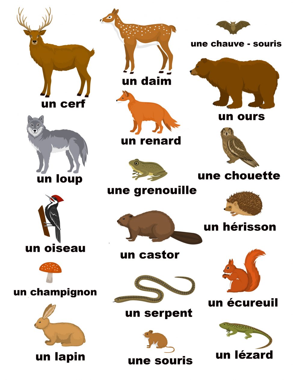 French animals | Woodlands Primary P6