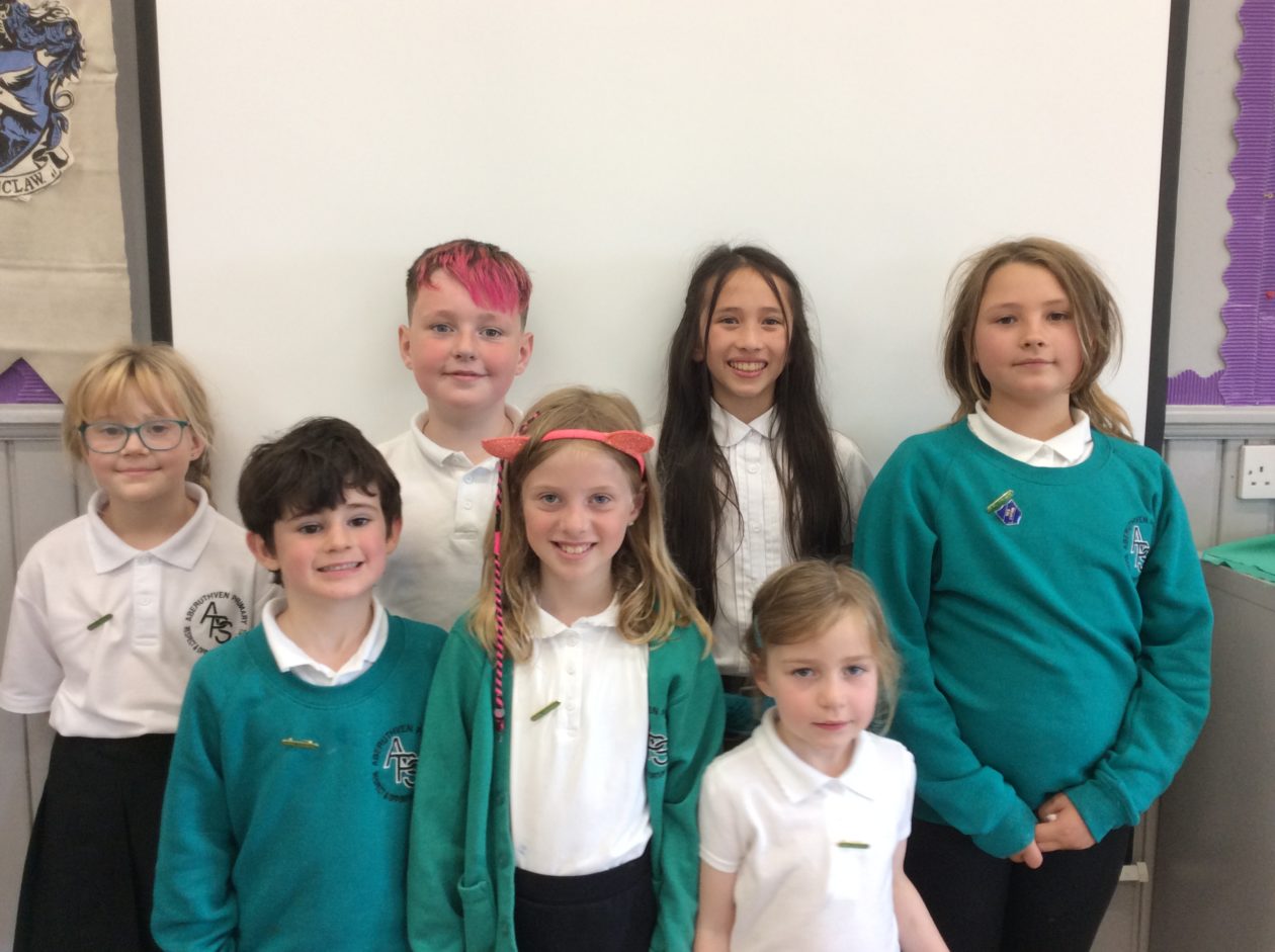 Pupil Council Aberuthven Primary School