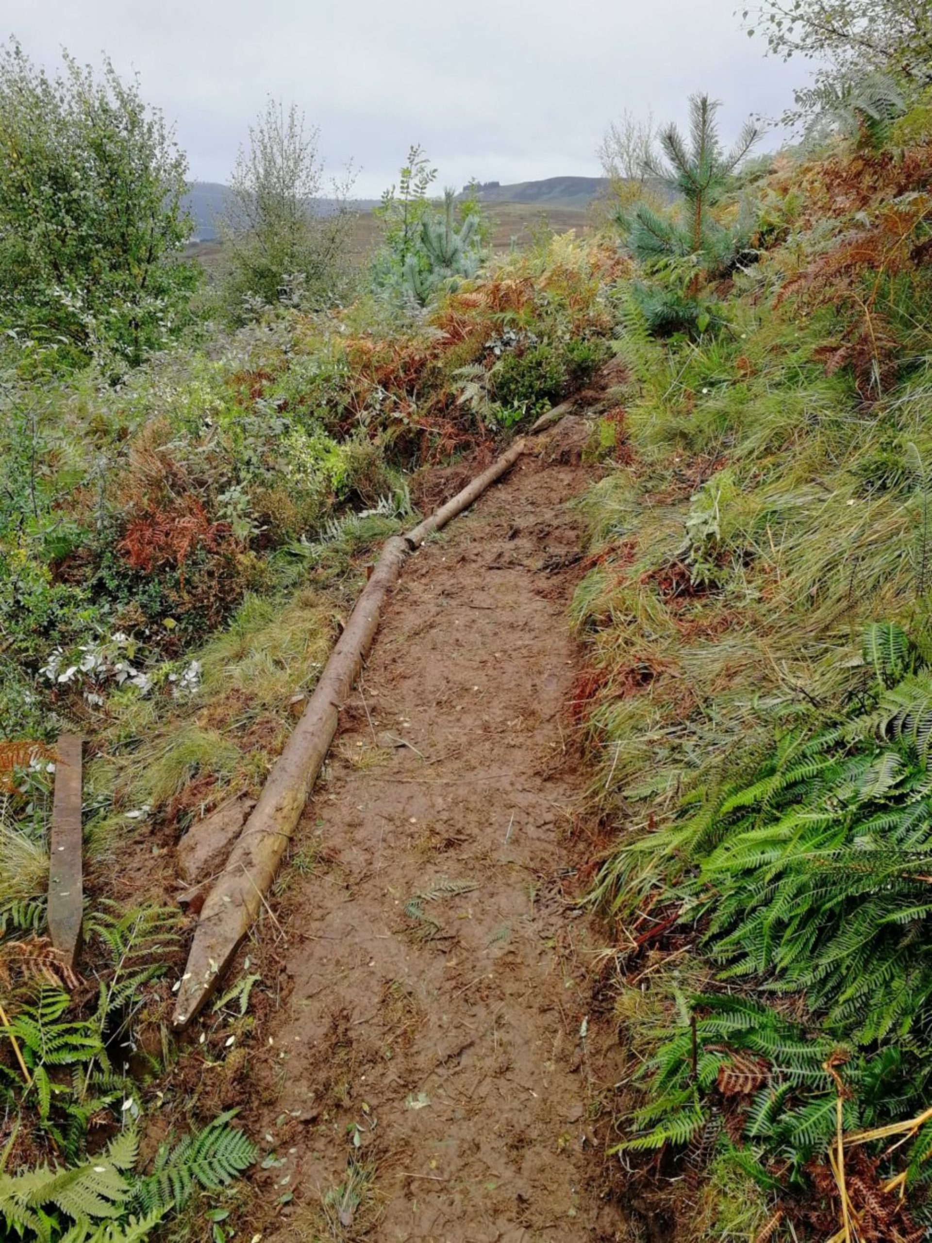 to Breadalbane Rural Breadalbane Rural