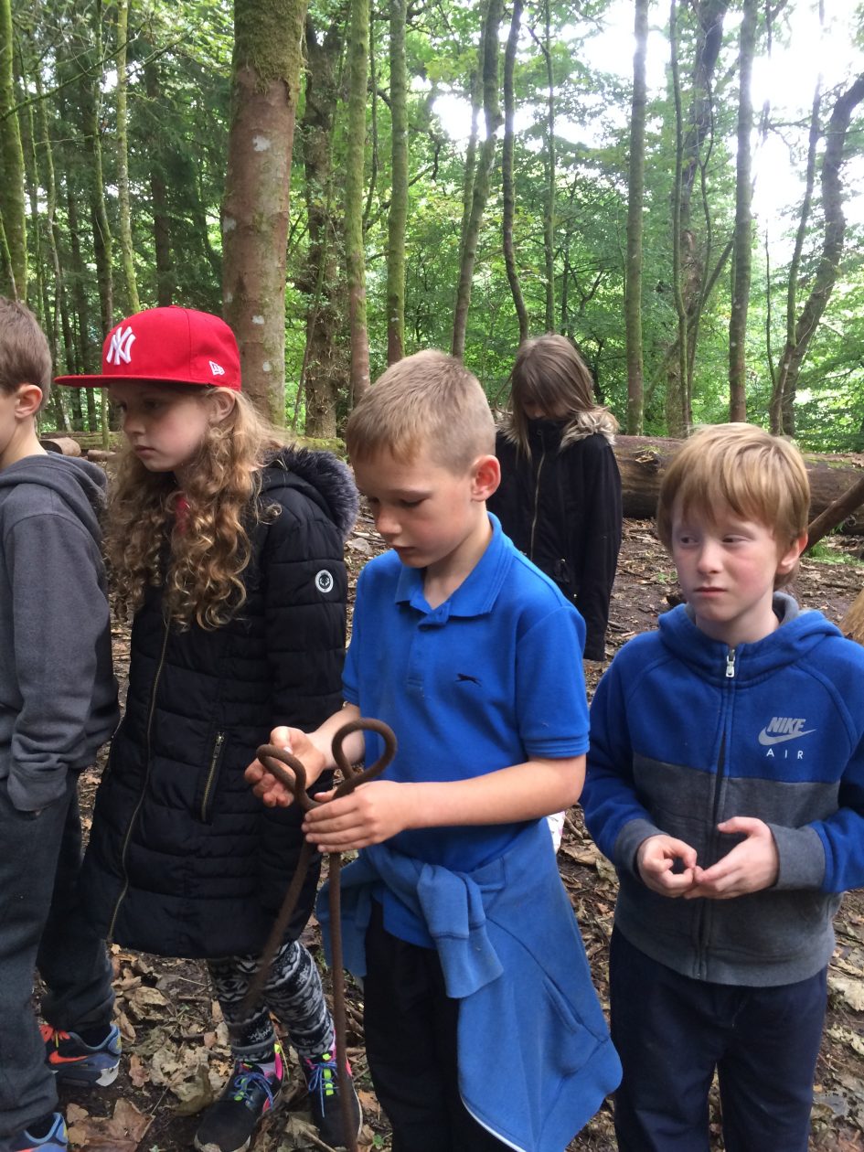 Dalguise Trip | Coupar Angus Primary School