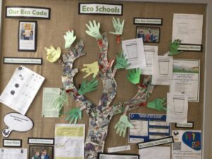 Eco Schools Noticeboard Kenmore Primary School