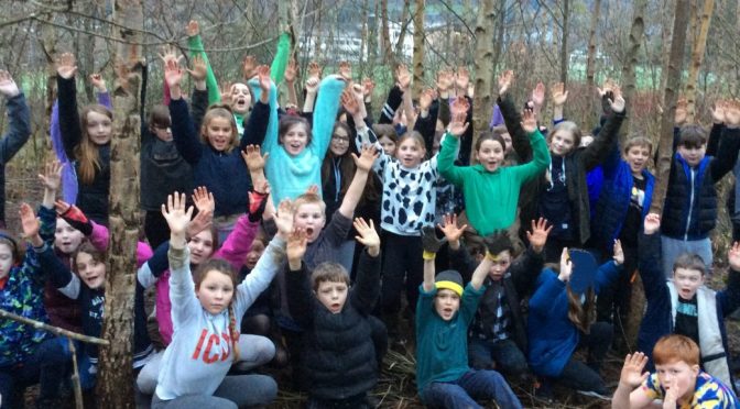 Breadalbane Academy Nature's Wood | Join us for updates with our social ...