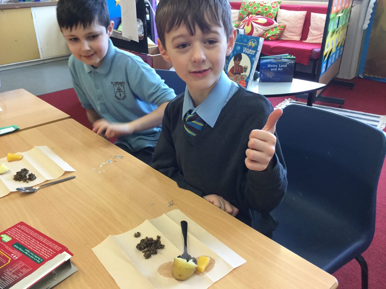 St anthony school, hauz khas fee structure image