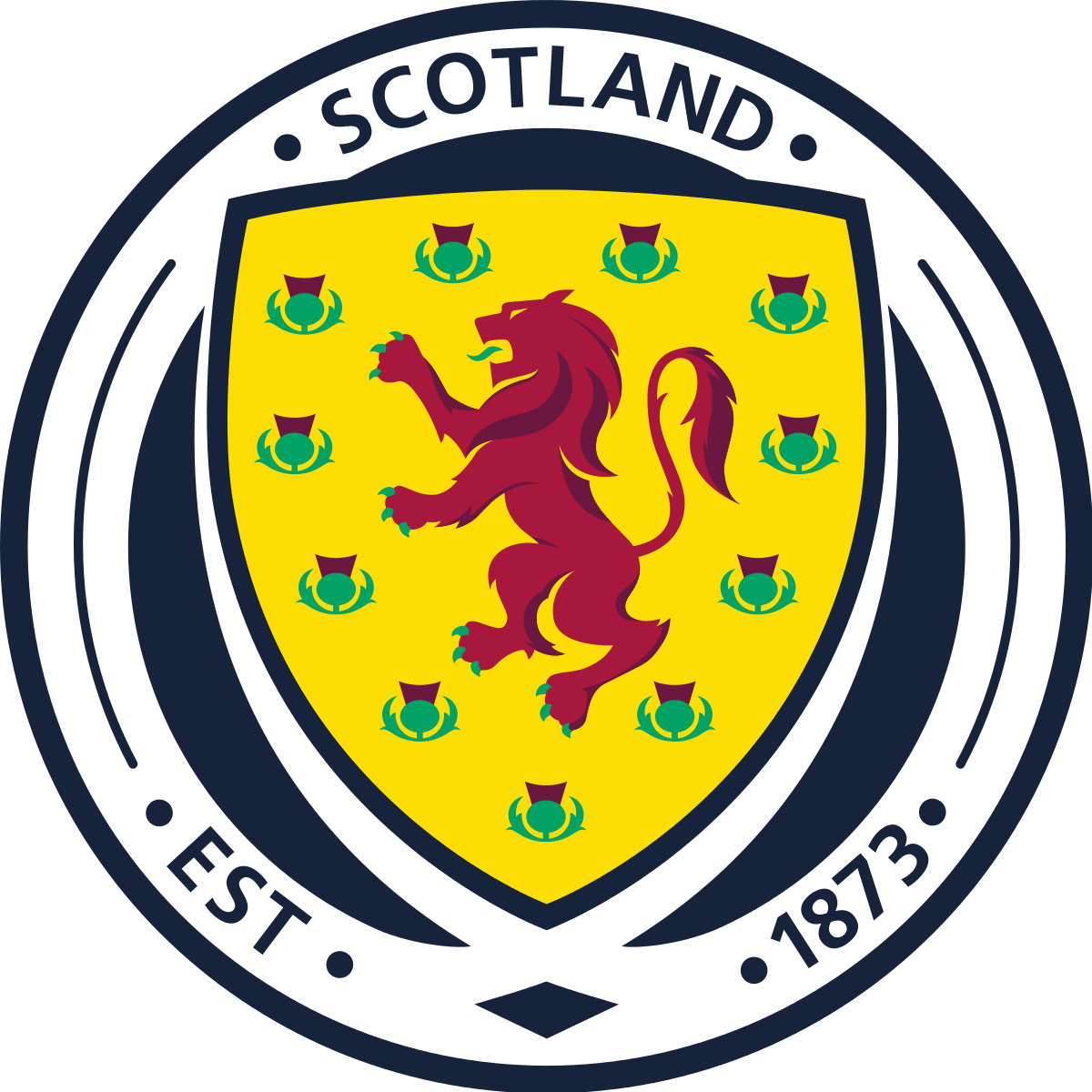 Scotland Football Monday 14th June 2021 St David's Primary School