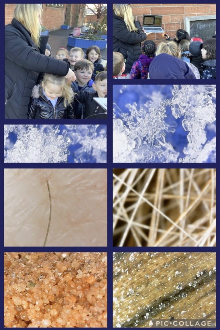 Using our microscope to explore outdoors – Williamsburgh Primary 1 Blog