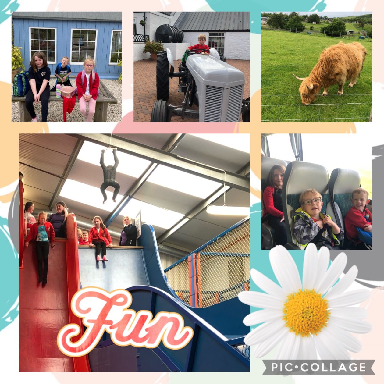 School Trip to Heads of Ayr Farm Park Barrhill Primary and Early