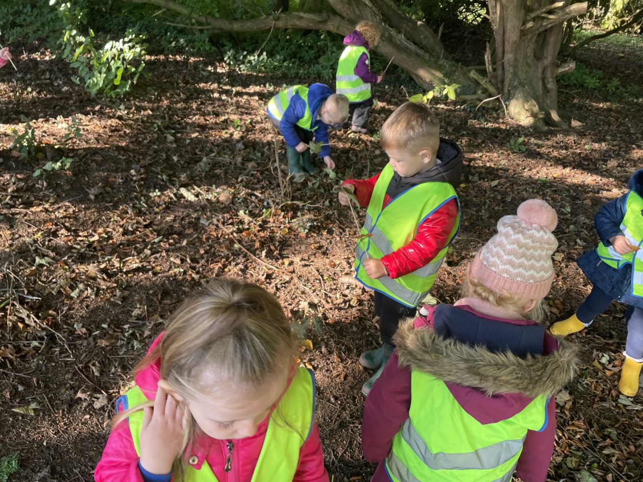 Term 1 Autumn Outdoor Learning | Dailly Primary School & Early Years Centre