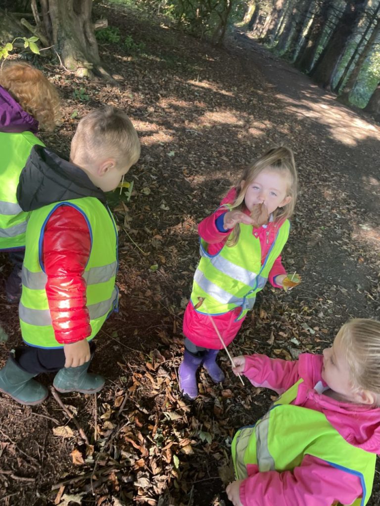 Term 1 Autumn Outdoor Learning | Dailly Primary School & Early Years Centre