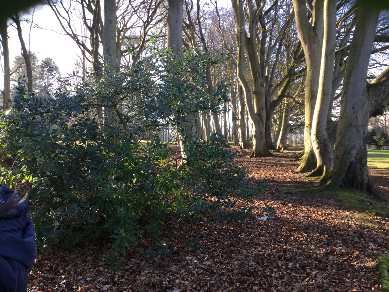 0140FBE748AB4131972F0A9EDF276E70 Wallacetown Early Years Centre