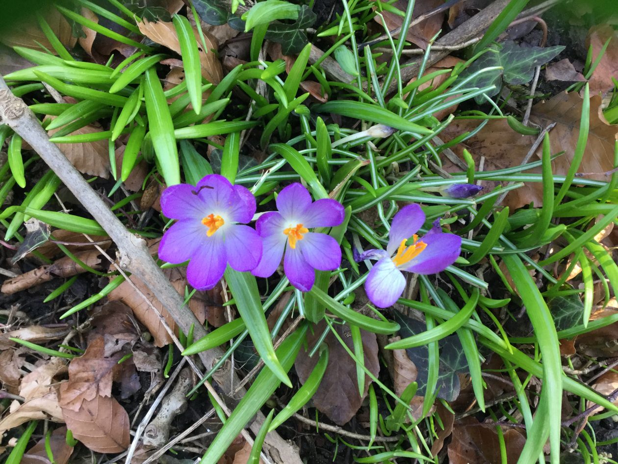 AC8704DF616E47C7ADF266E2A5E646CF Wallacetown Early Years Centre