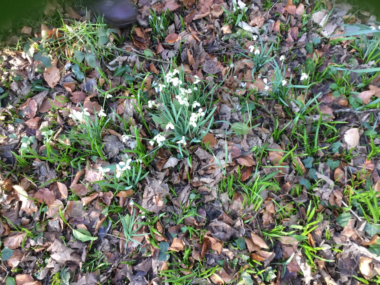 C0EFBB6A041748A19CE69D2A4C1120CF Wallacetown Early Years Centre