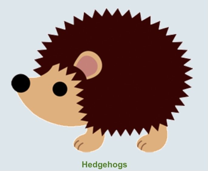 Playrooms Wallacetown Early Years Centre