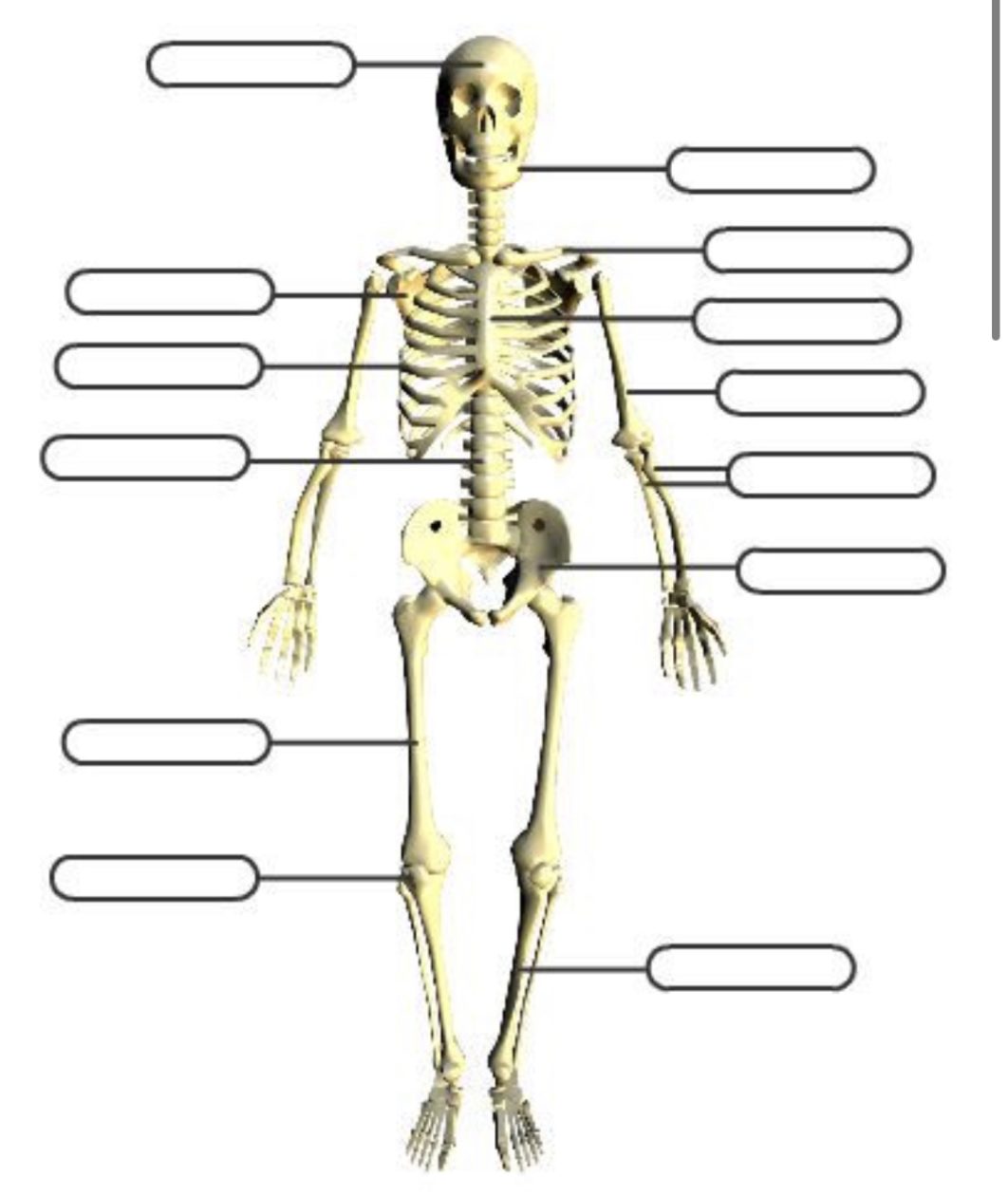 Funny Bones Kingsland Primary P6 21 22