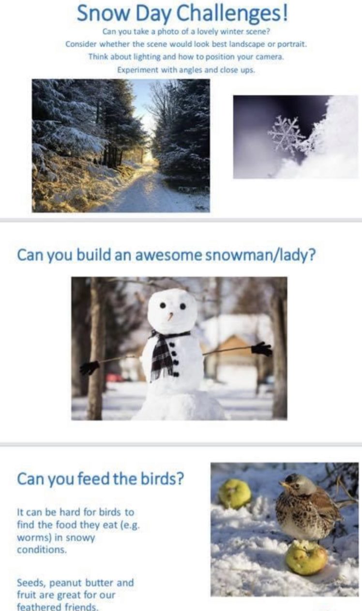 Optional Snow Day Activities