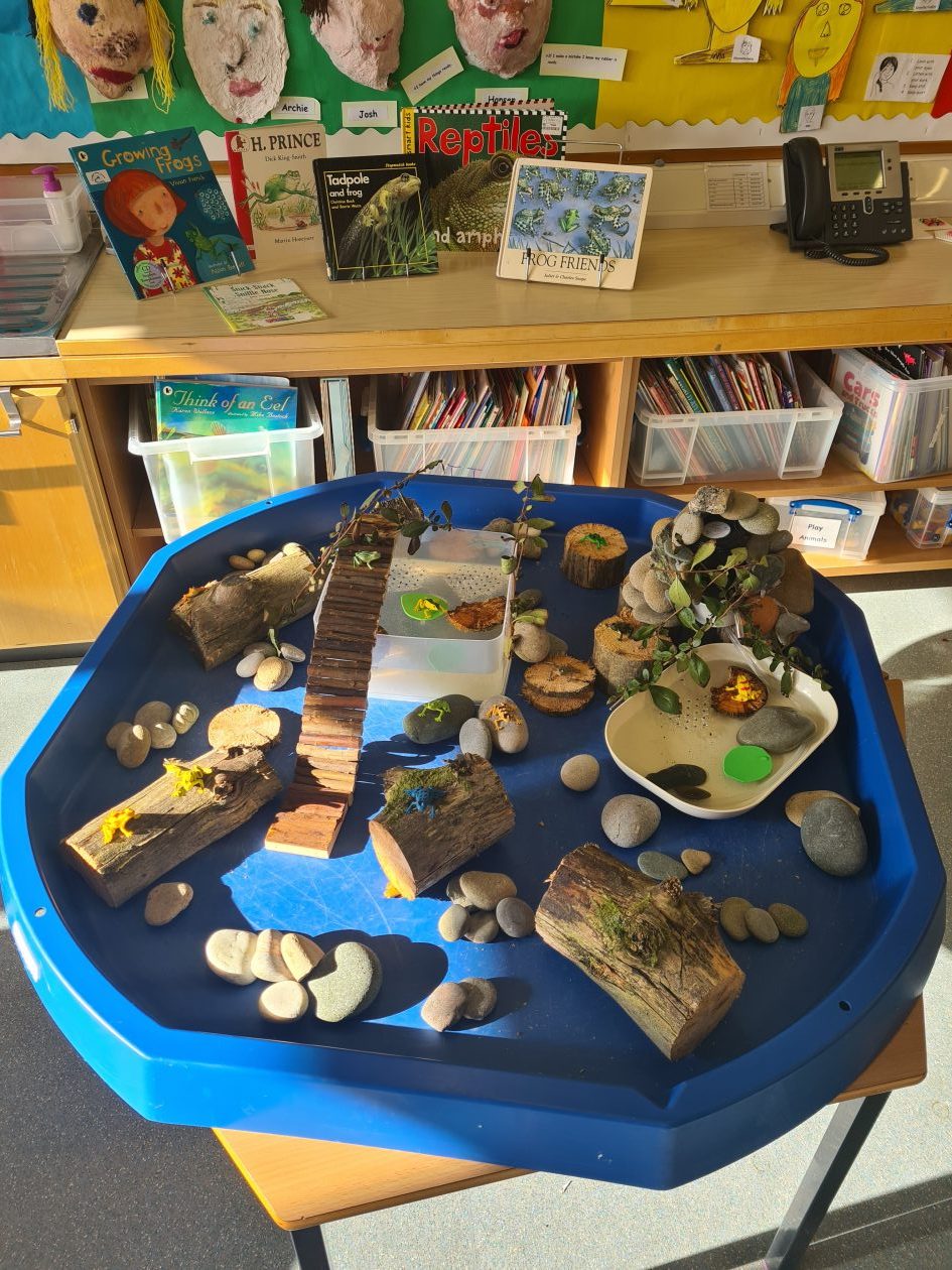 Ms Shona McNab’s been busy again making a new sensory tray for this ...